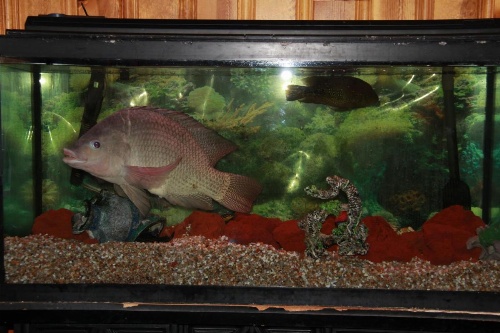 Motel Rustik image 34